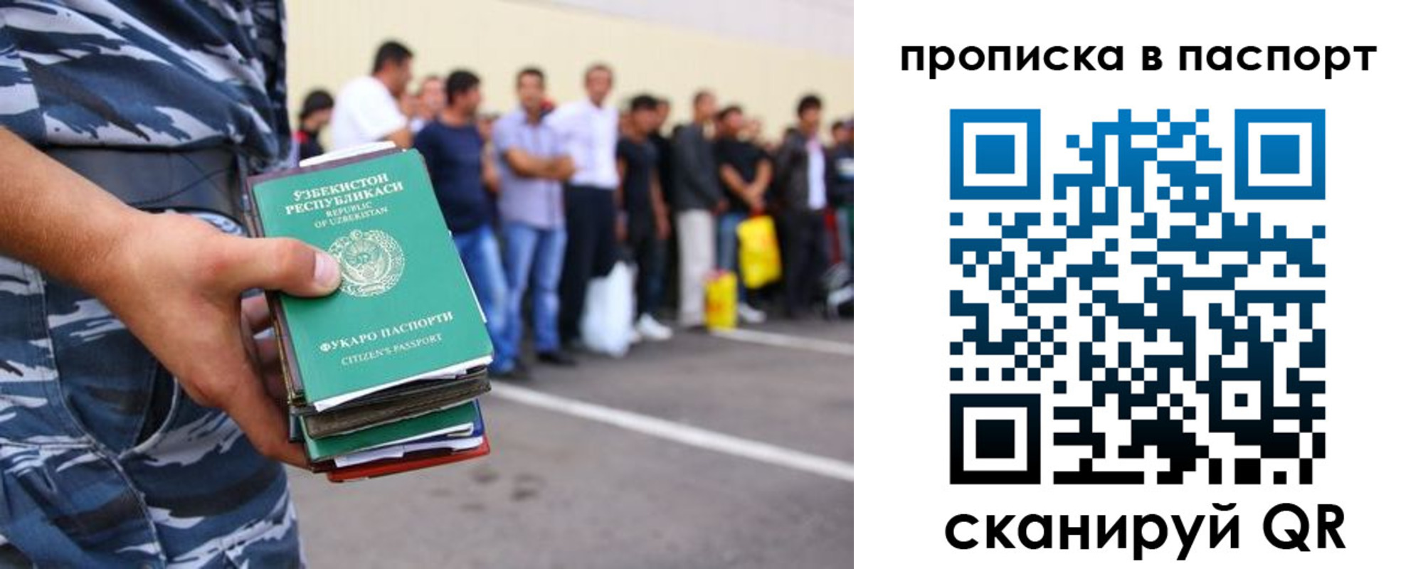 прописка в квартире в Павловске