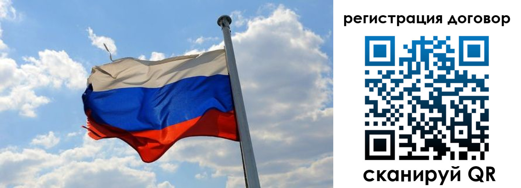 прописка 2025 в Павловске